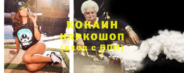гашик Тайга