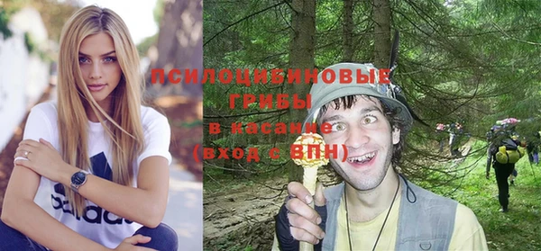 герыч Дмитров