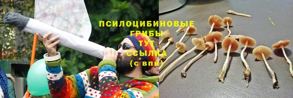 марки nbome Дмитриев