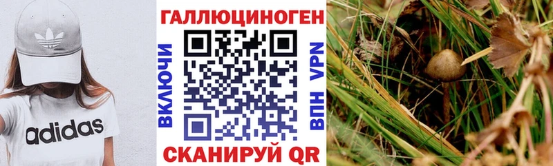 Галлюциногенные грибы Magic Shrooms  даркнет сайт  Рубцовск 