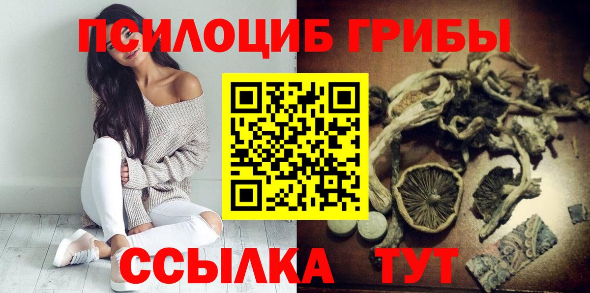Галлюциногенные грибы Cubensis Рубцовск